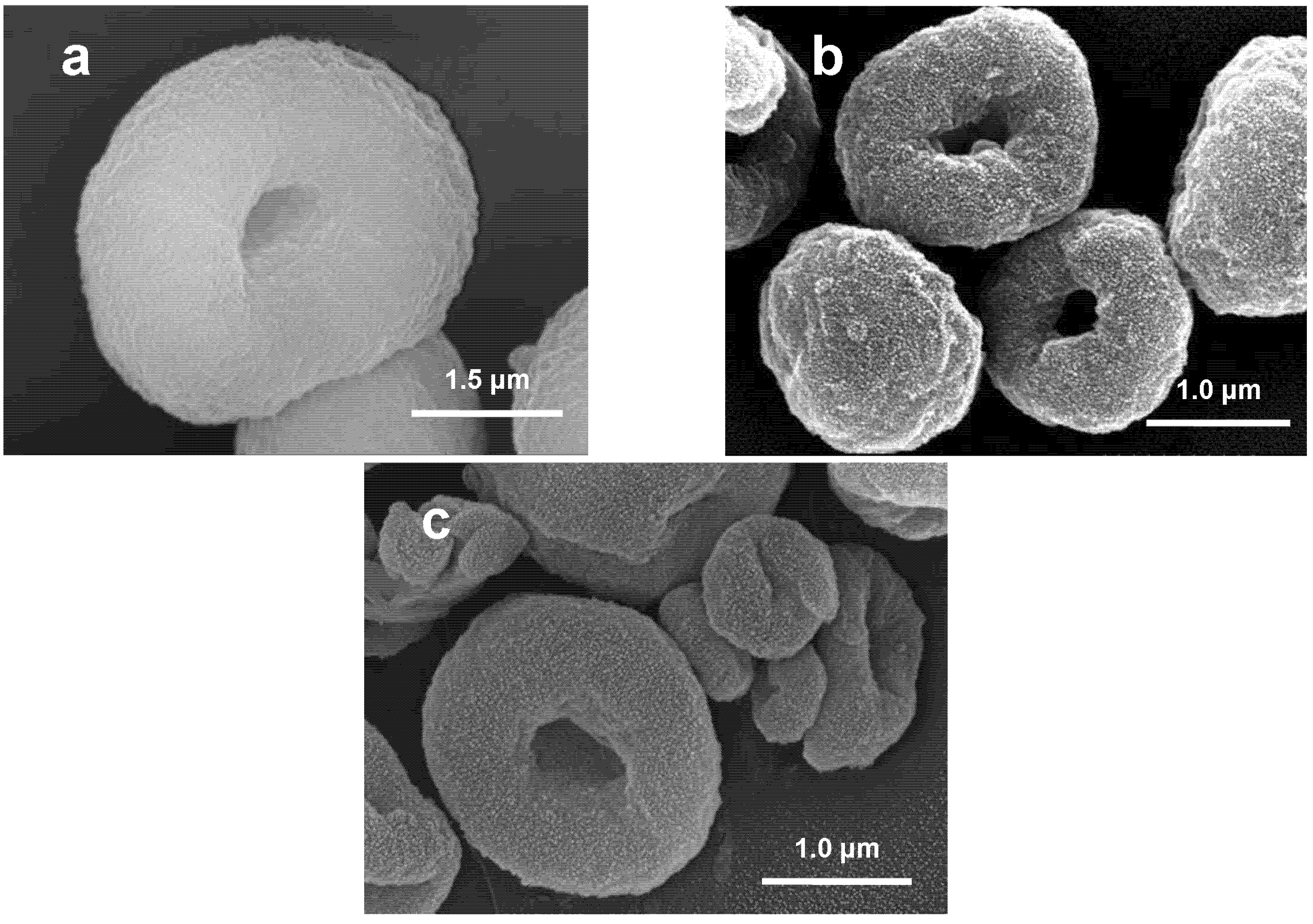 Molecules 13 02729 g001