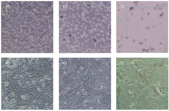 Molecules 13 02729 g005 550