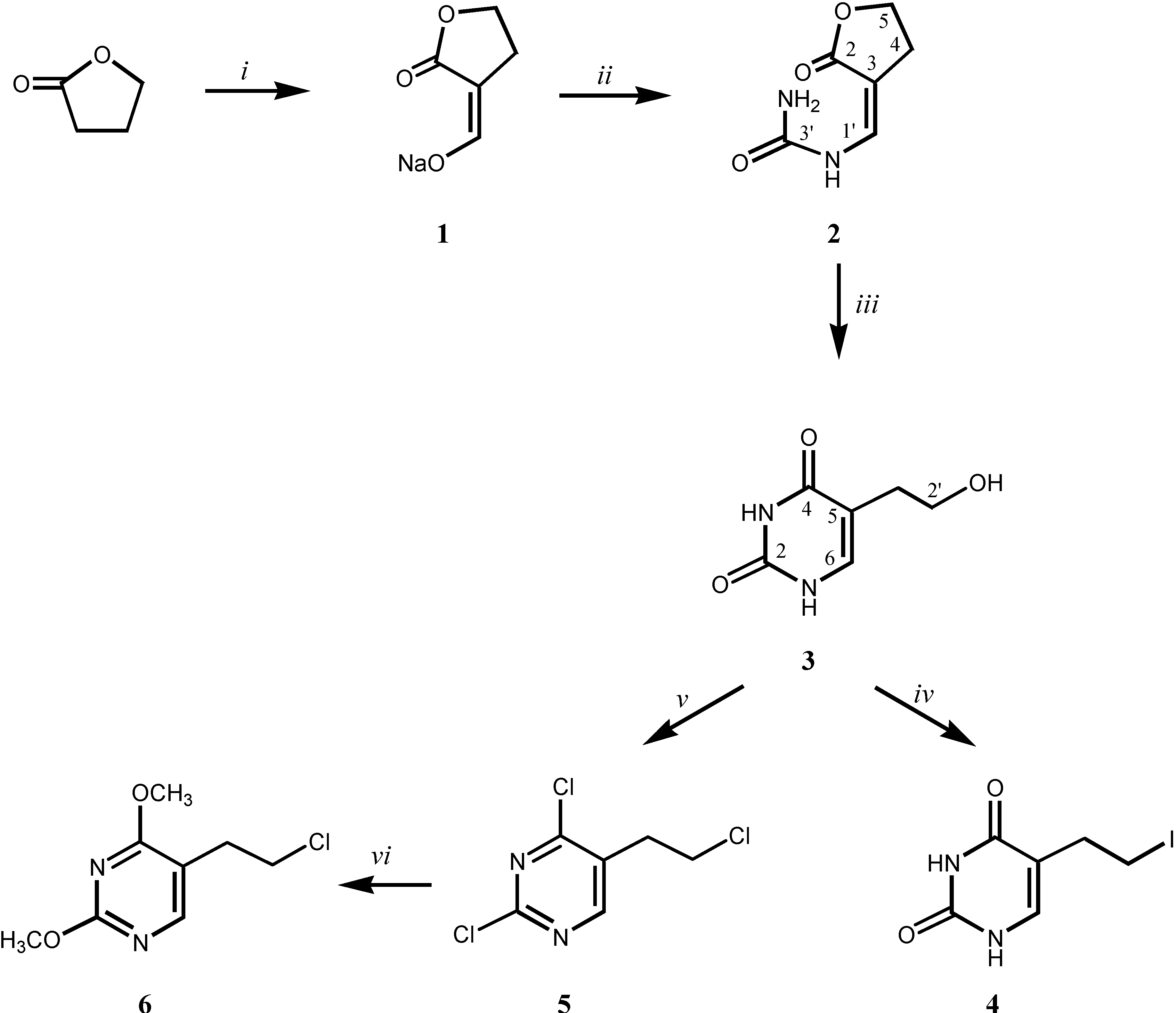 Molecules 13 02786 g005