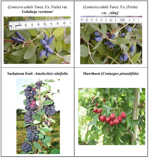 Molecules 13 02823 g002 550