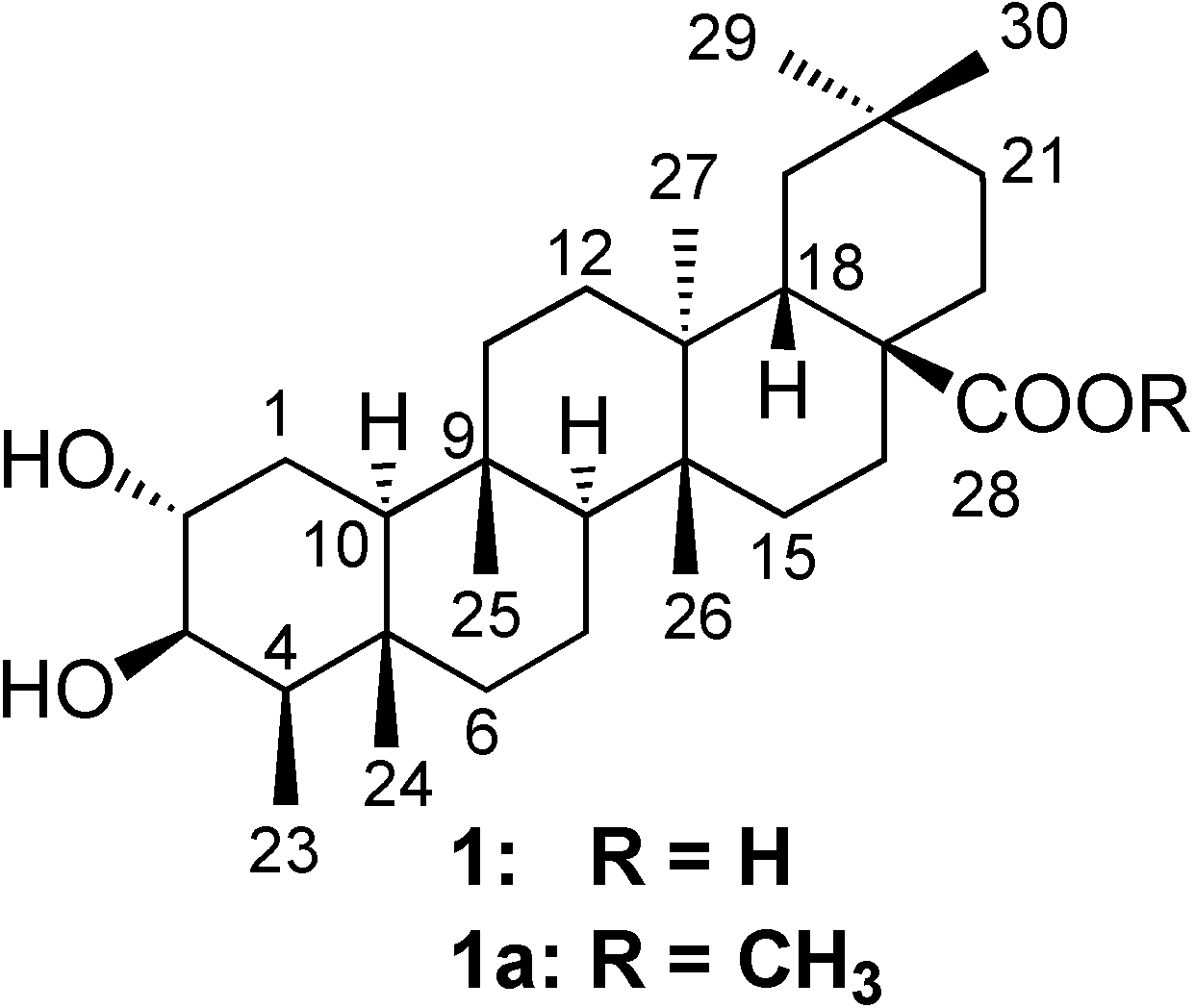 Molecules 13 02915 g001