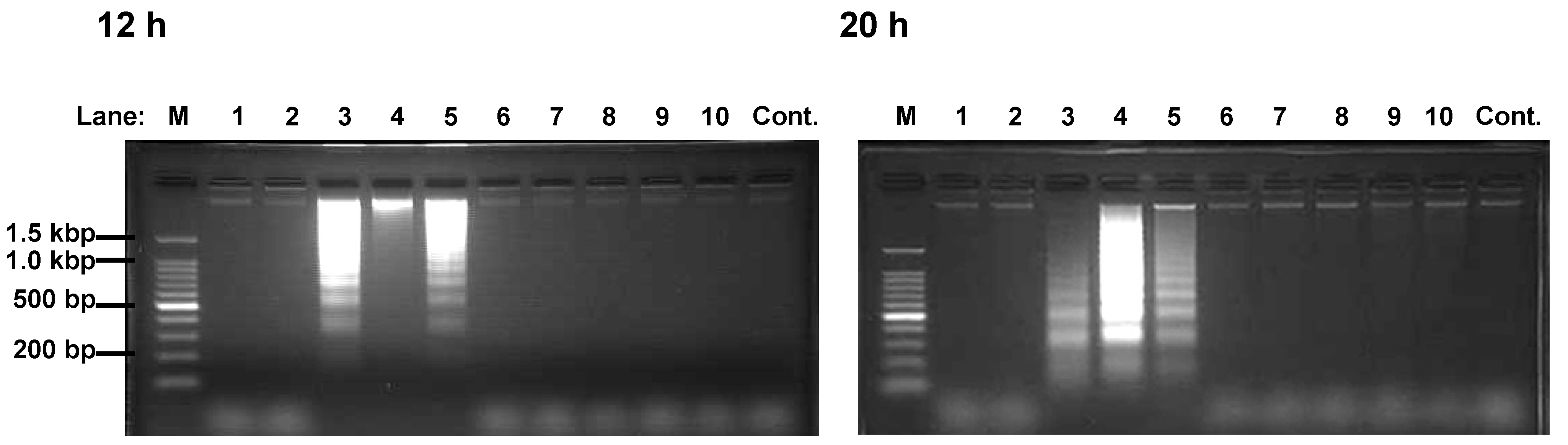 Molecules 13 02998 g003