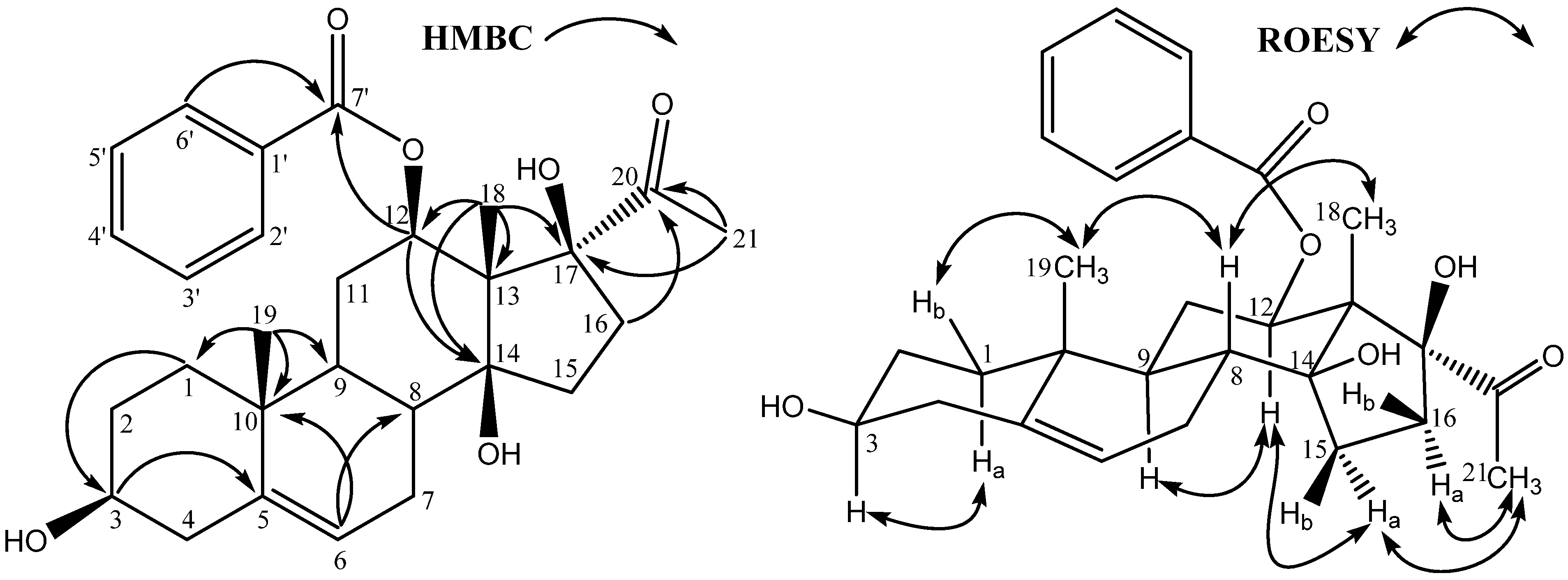 Molecules 13 03033 g002
