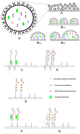Molecules 13 03057 g001 550