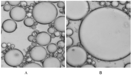 Molecules 13 03057 g002 550