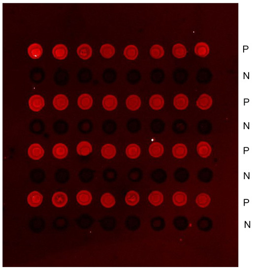 Molecules 13 03057 g003 550