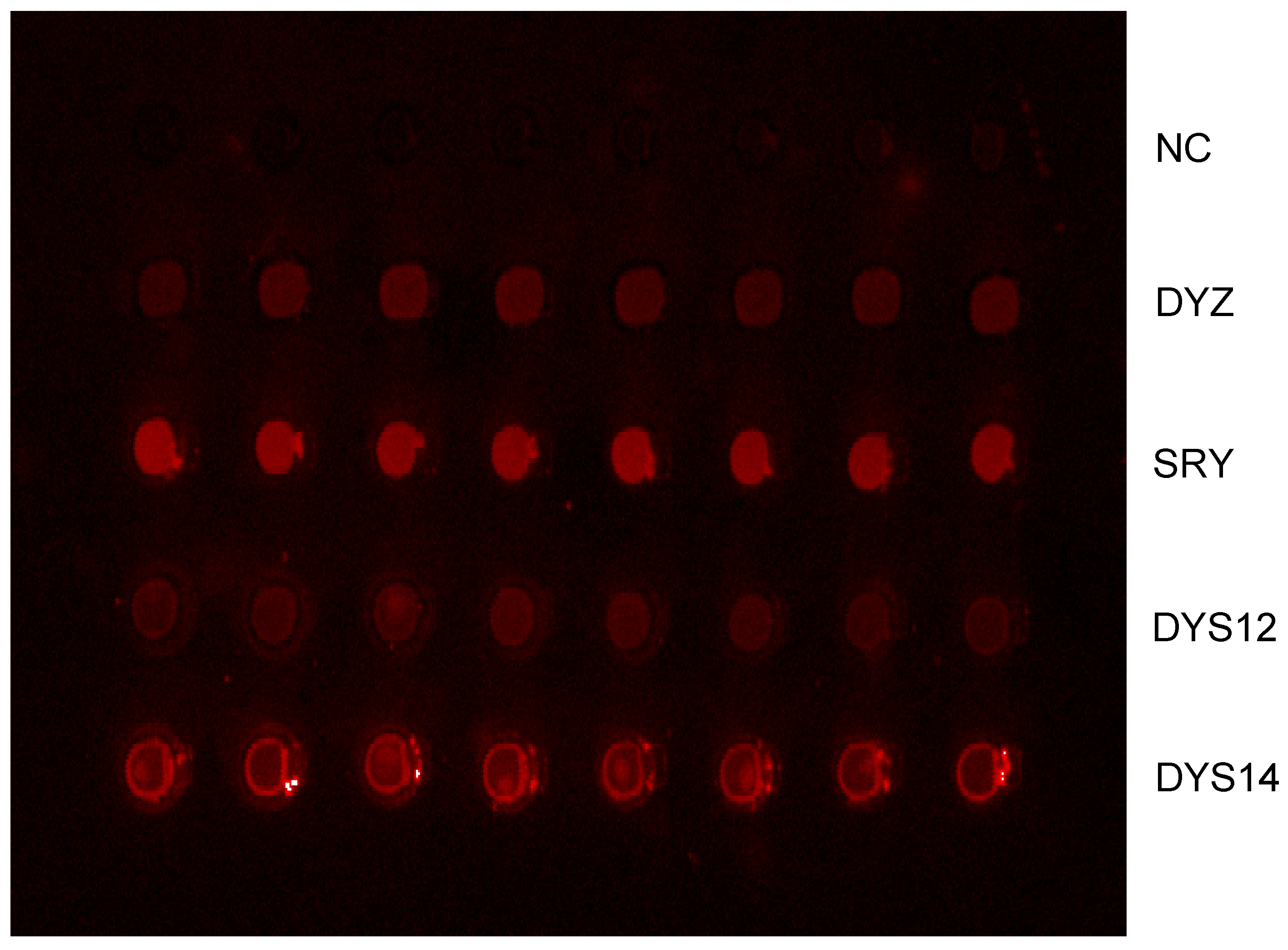 Molecules 13 03057 g004