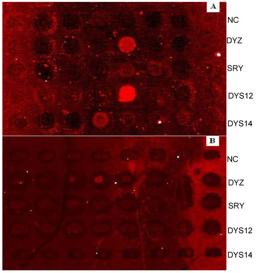 Molecules 13 03057 g005 550