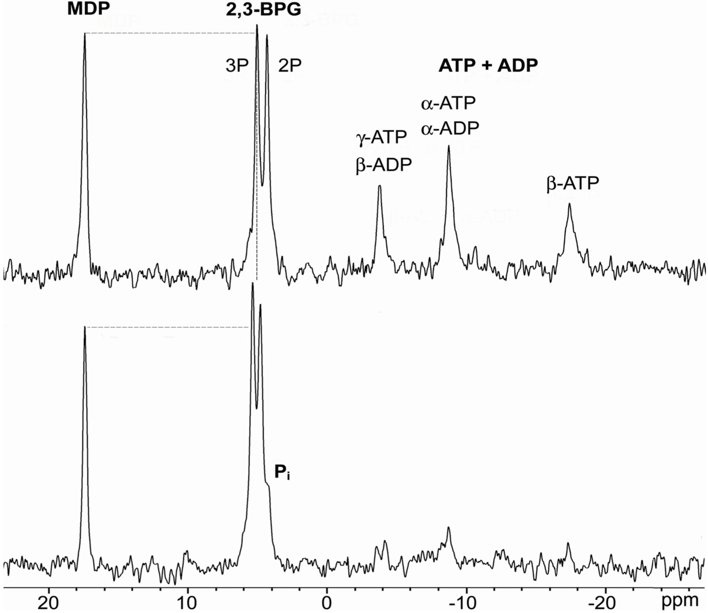 Molecules 14 00053 g001