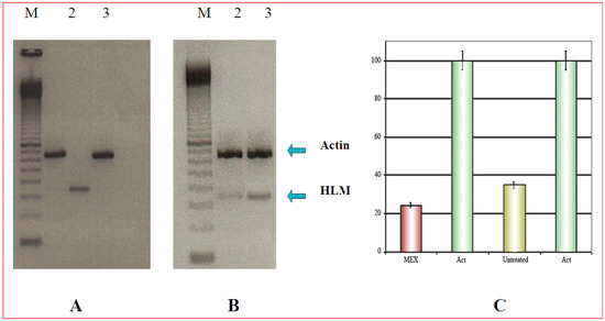 Molecules 14 00122 g002 550
