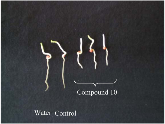 Molecules 14 00160 g002 550