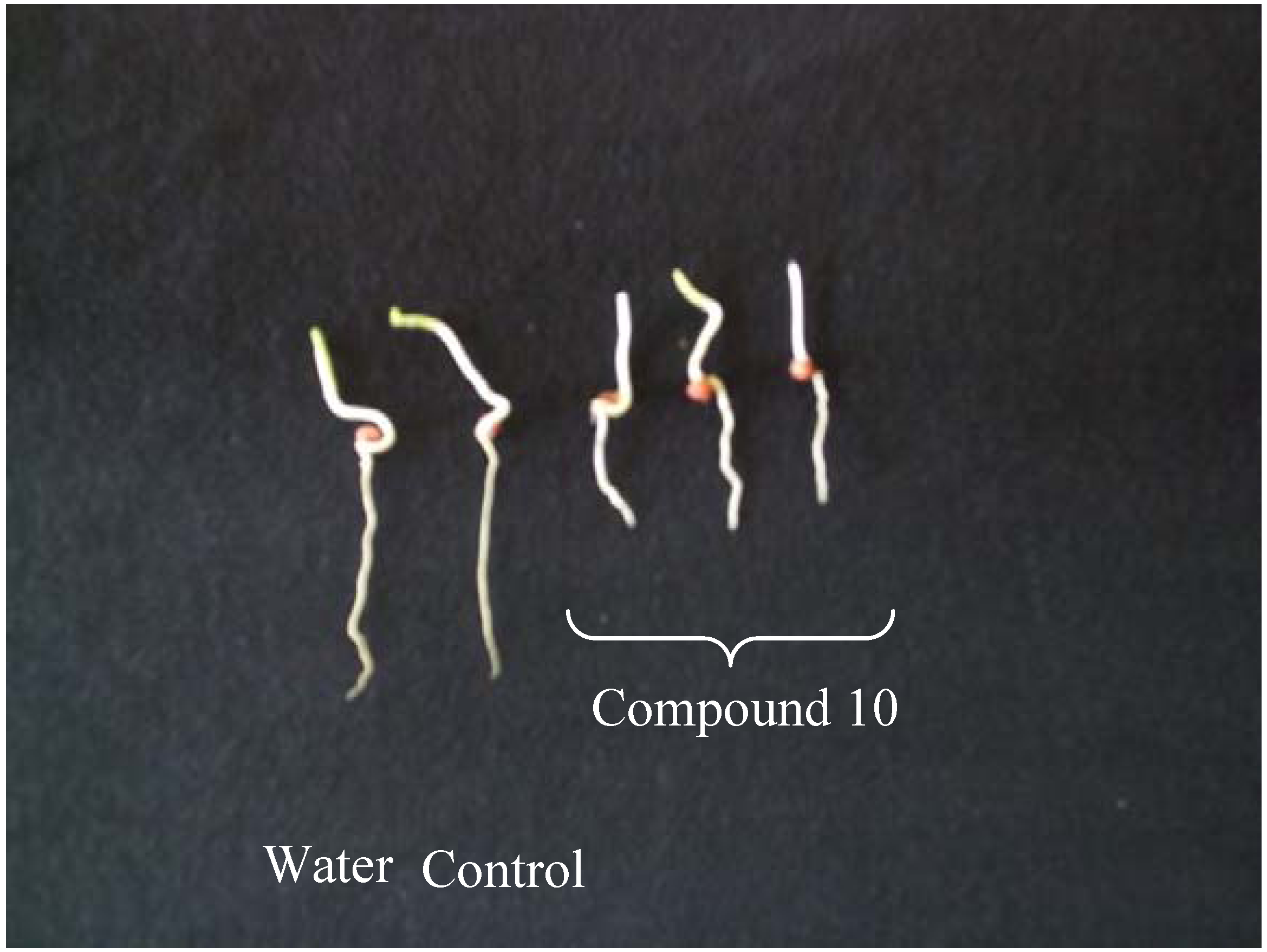 Molecules 14 00160 g002