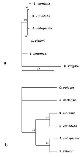 Molecules 14 00925 g002 550