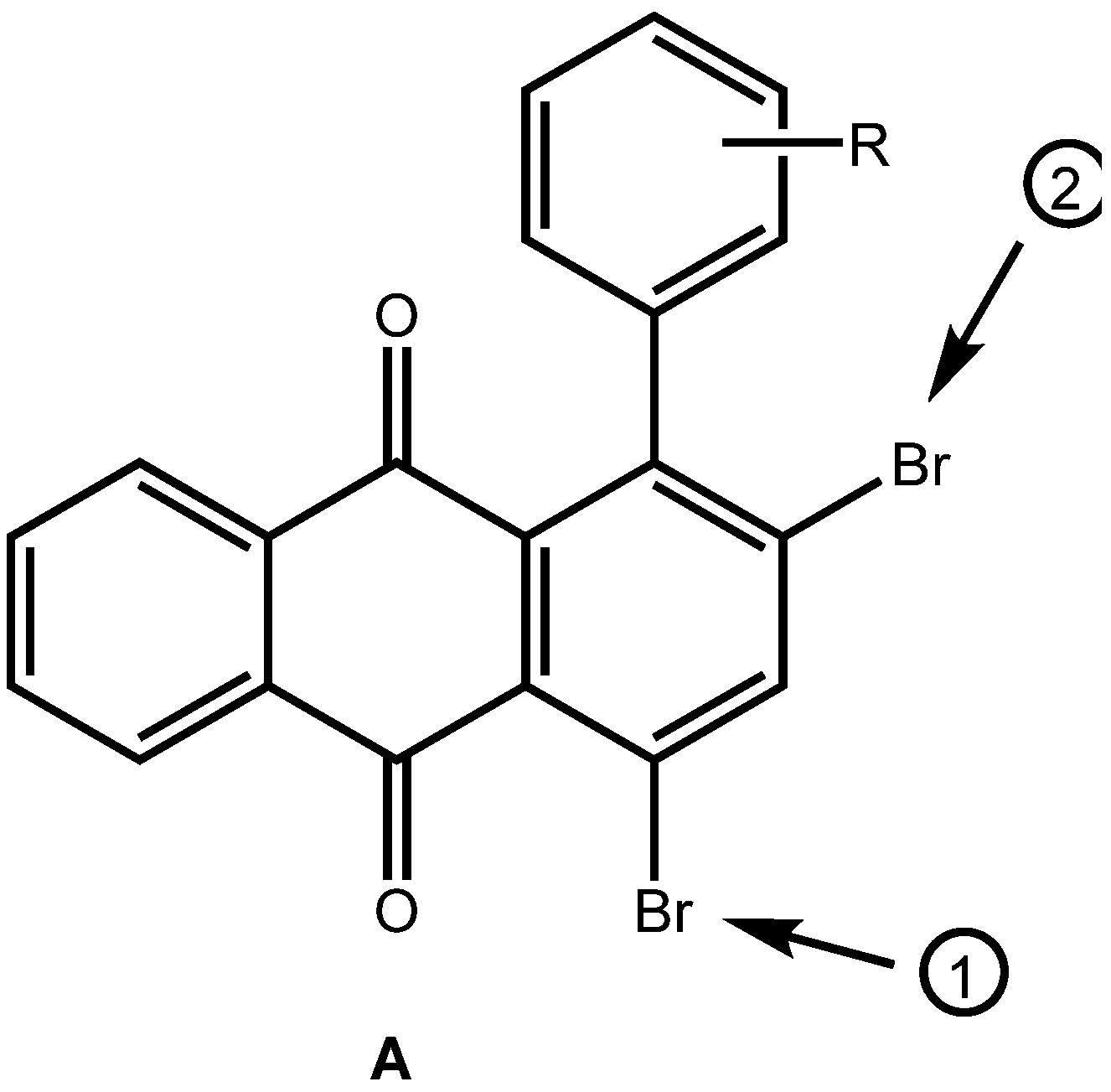 Molecules 14 01013 g003