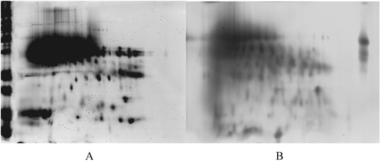 Molecules 14 01081 g005 550