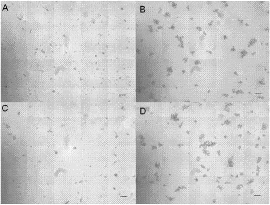 Molecules 14 01171 g003 550