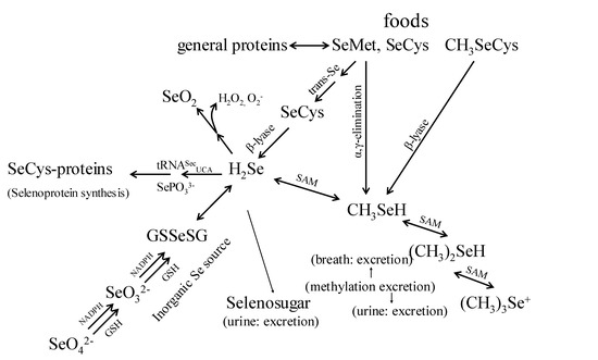 Molecules 14 01263 g001 550