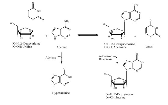 Molecules 14 01279 g003 550