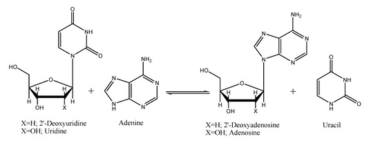 Molecules 14 01279 g004 550