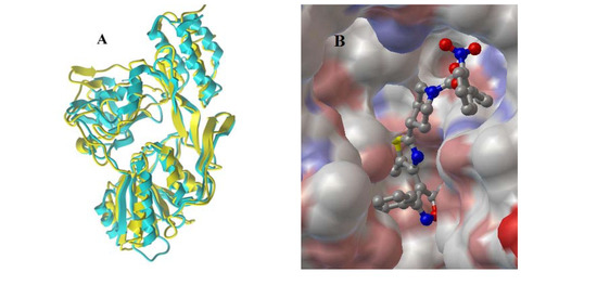 Molecules 14 01288 g001 550