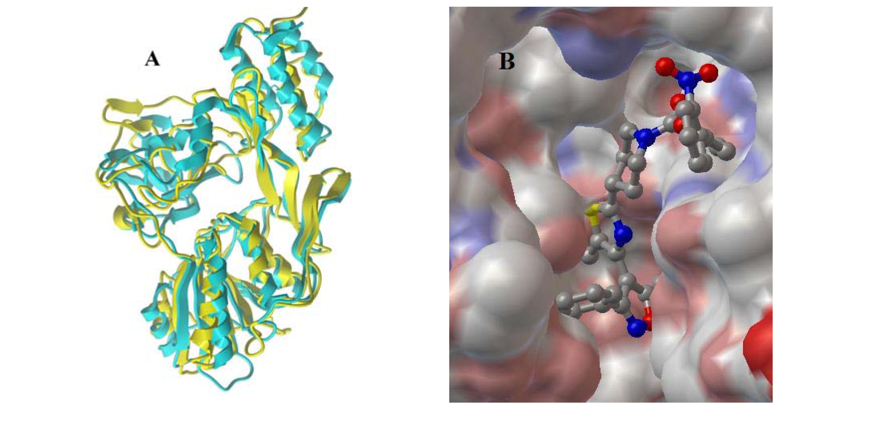 Molecules 14 01288 g001