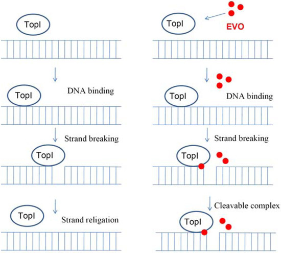 Molecules 14 01342 g005 550