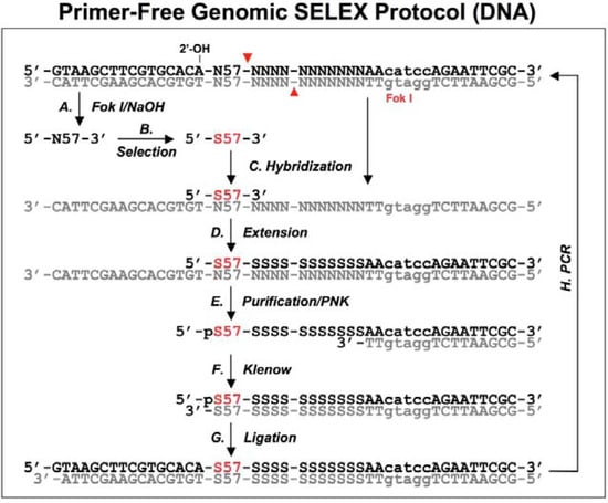 Molecules 14 01353 g003 550