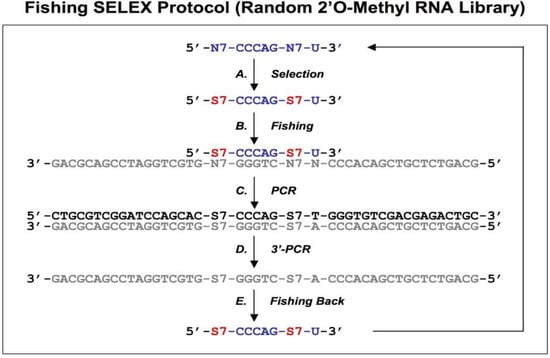 Molecules 14 01353 g004 550