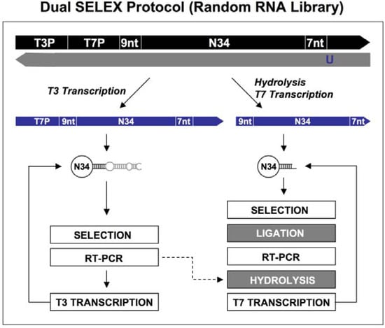 Molecules 14 01353 g006 550