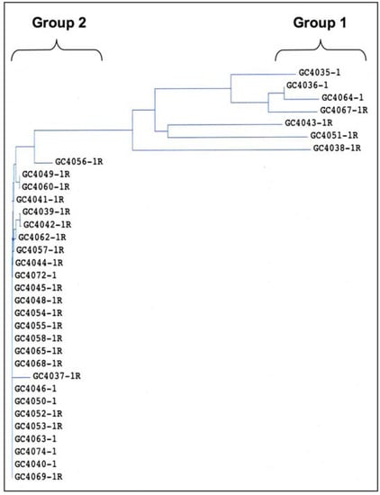 Molecules 14 01353 g009 550