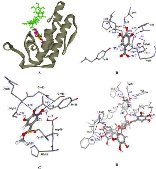Molecules 14 01404 g006 550