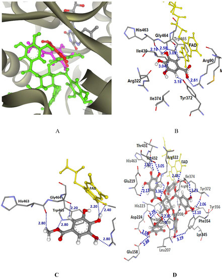 Molecules 14 01404 g007 550
