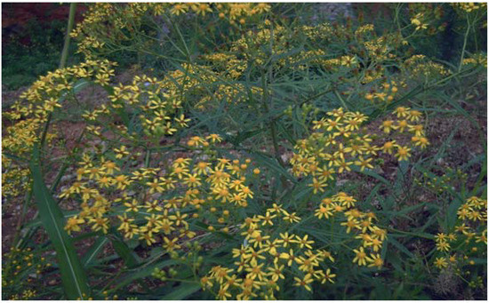 Molecules 14 02077 g001 550