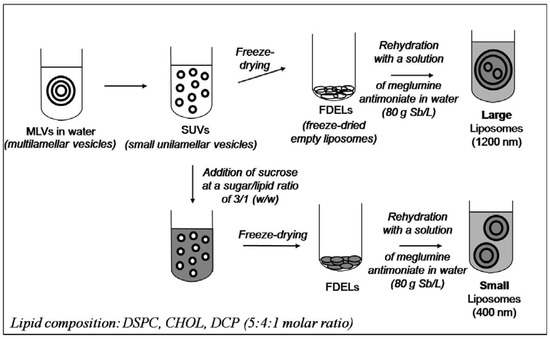Molecules 14 02317 g003 550