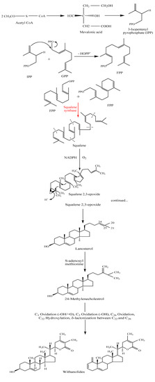 Molecules 14 02373 g002 550