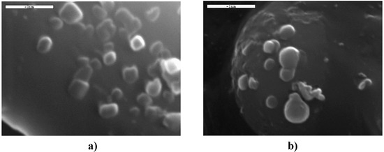 Molecules 14 02410 g008 550