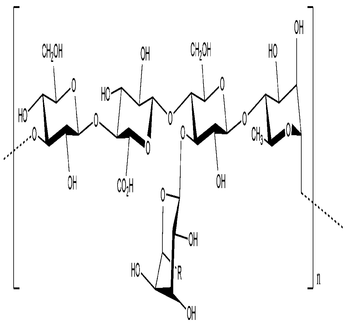 Molecules 14 02535 g006