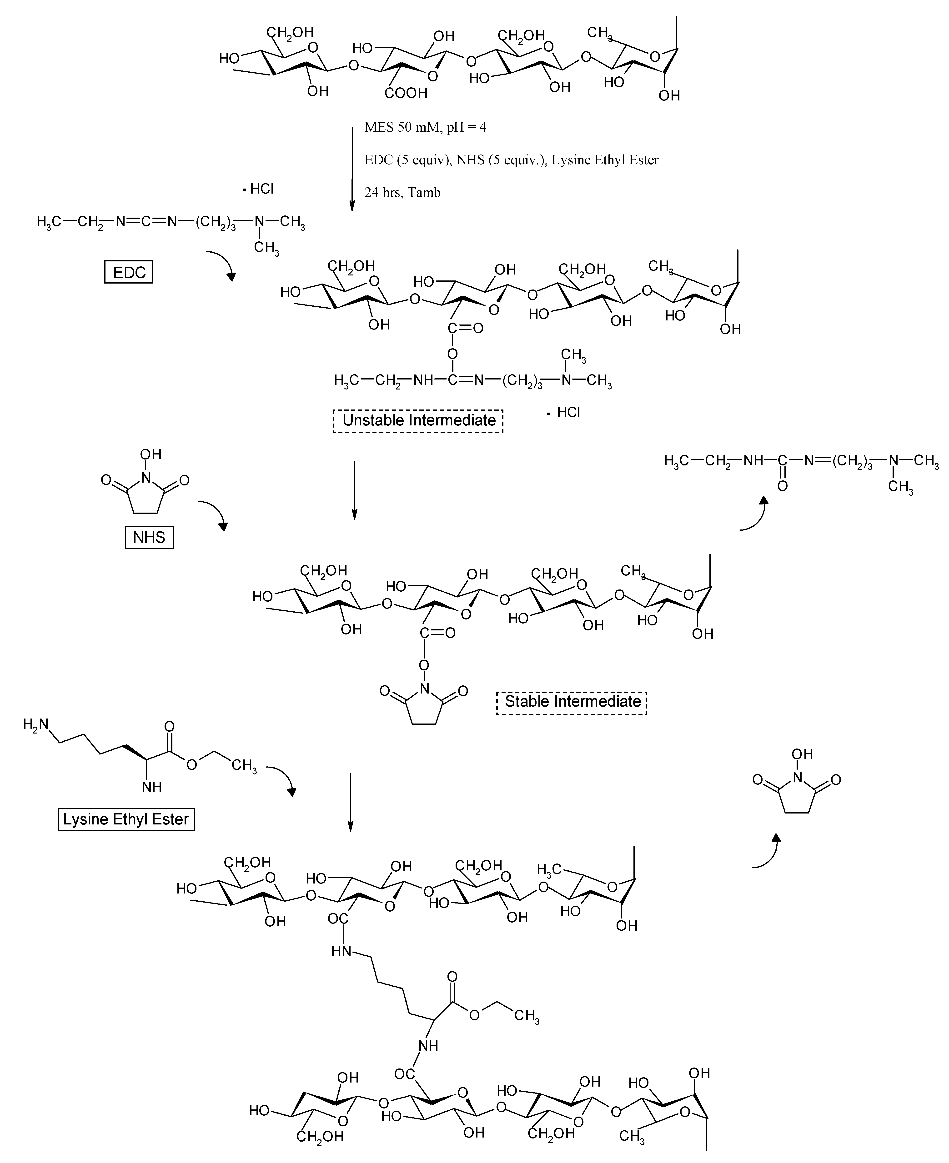 Molecules 14 03376 g010