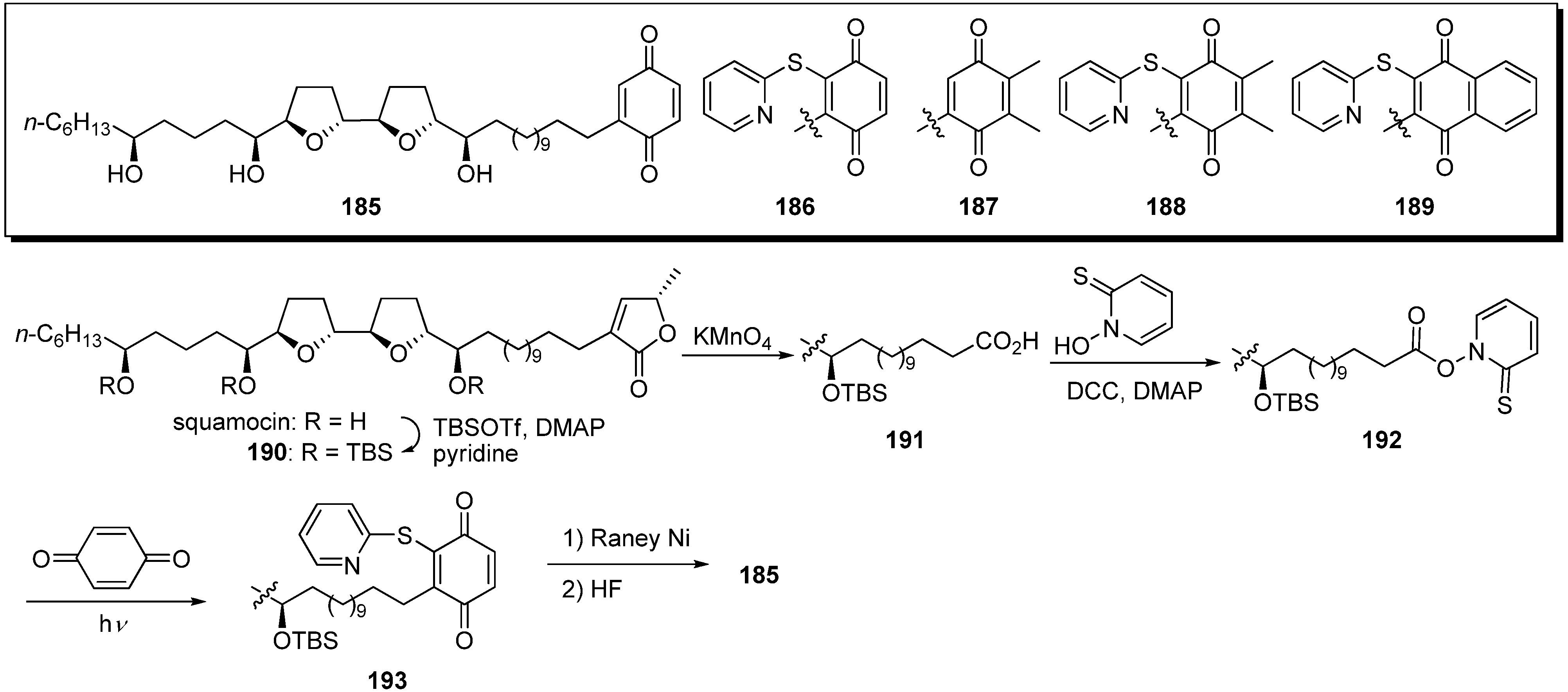 Molecules 14 03621 g017