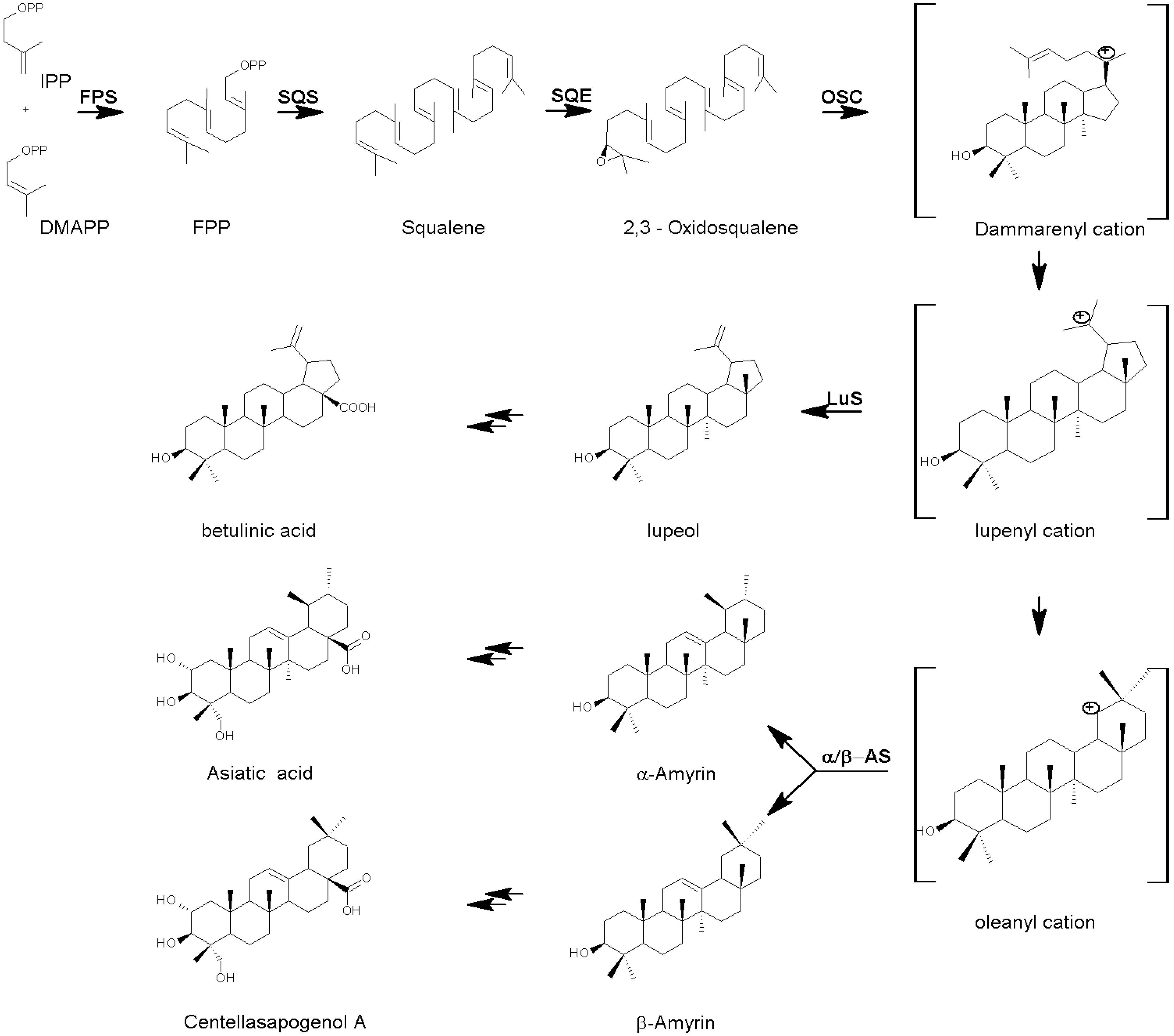Molecules 14 03922 g002