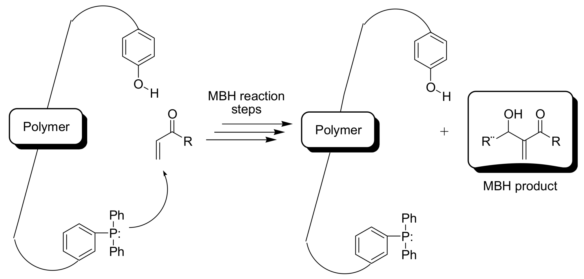 Molecules 14 03989 g008