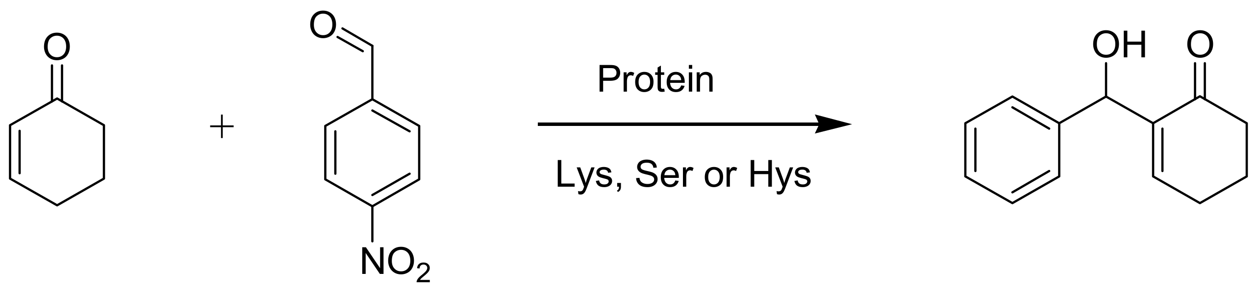 Molecules 14 03989 sch021