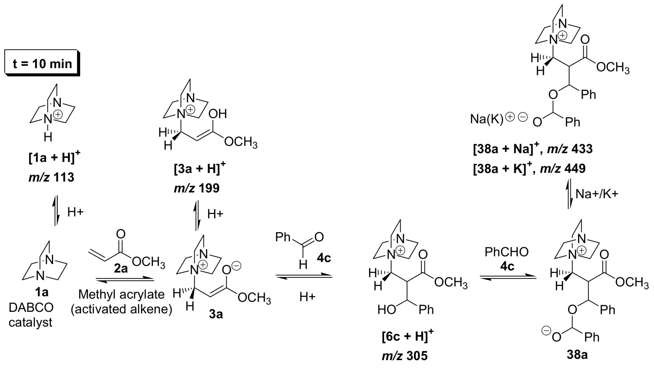 Molecules 14 03989 sch029