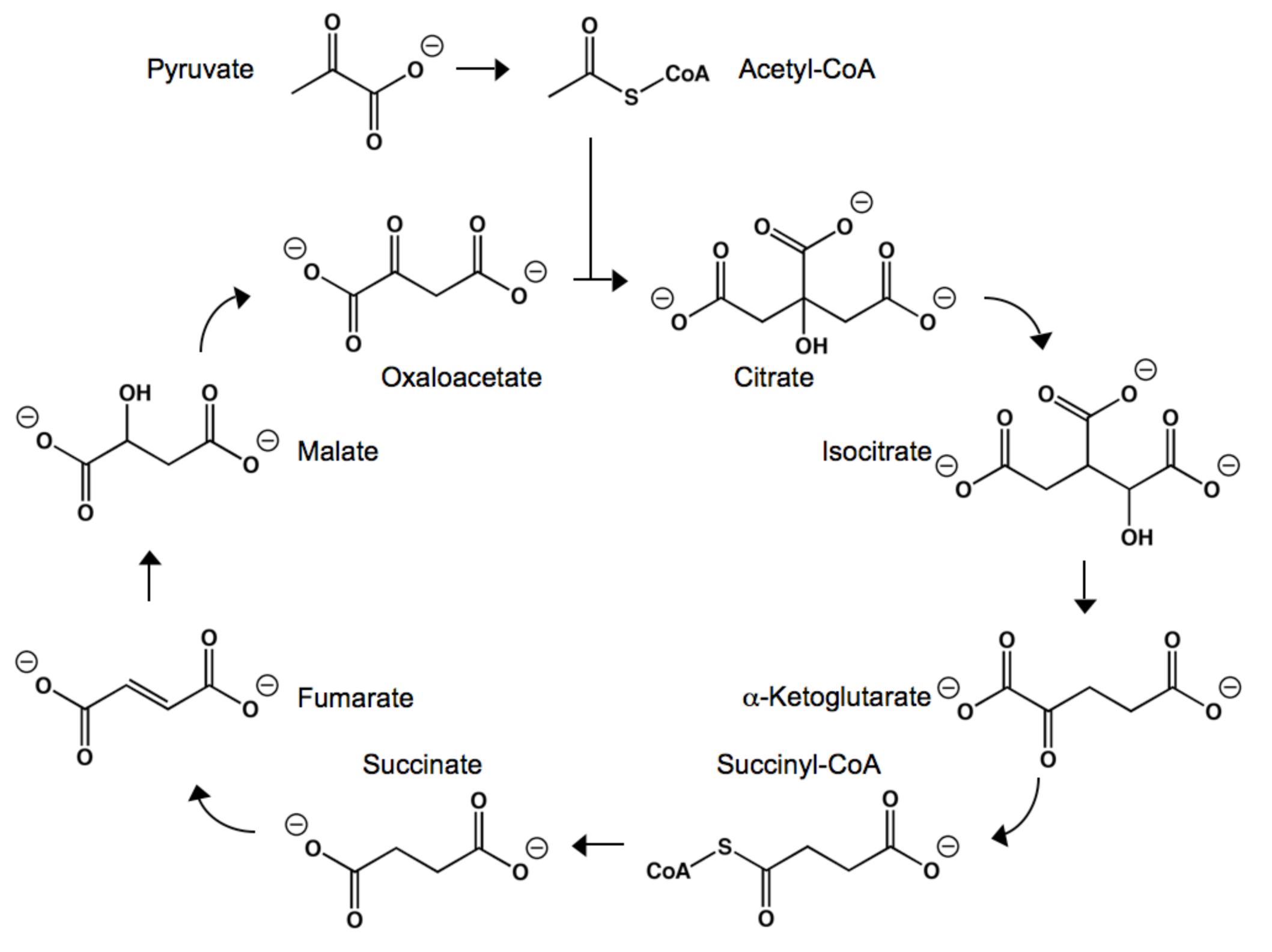 Molecules 14 04022 g002 Molecules 14 04022 g002