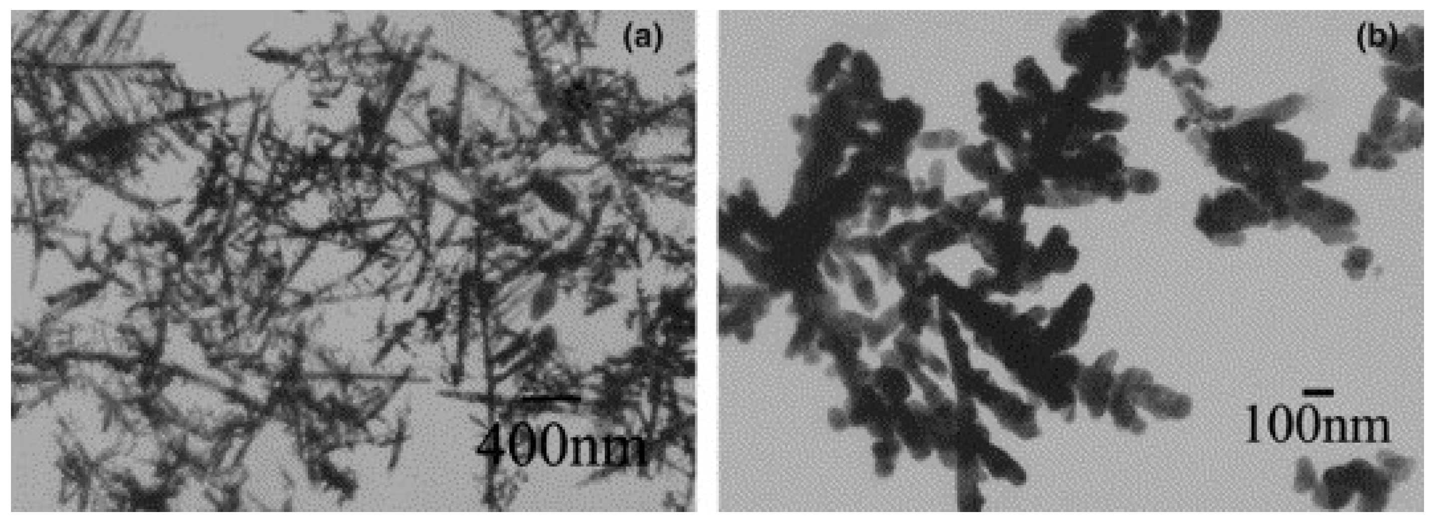 Molecules 14 04284 g004