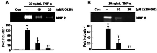 Molecules 14 04300 g003 550