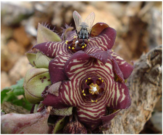 Molecules 14 04597 g003 550