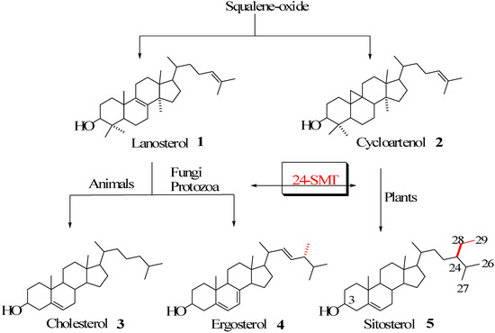 Molecules 14 04690 g001 550