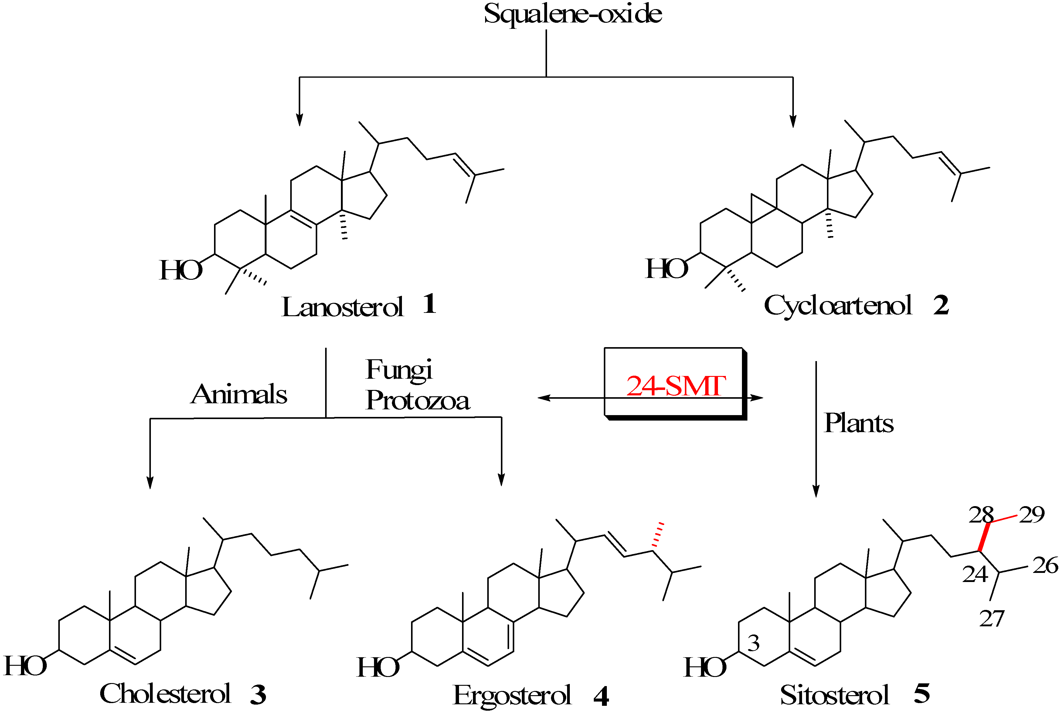 Molecules 14 04690 g001