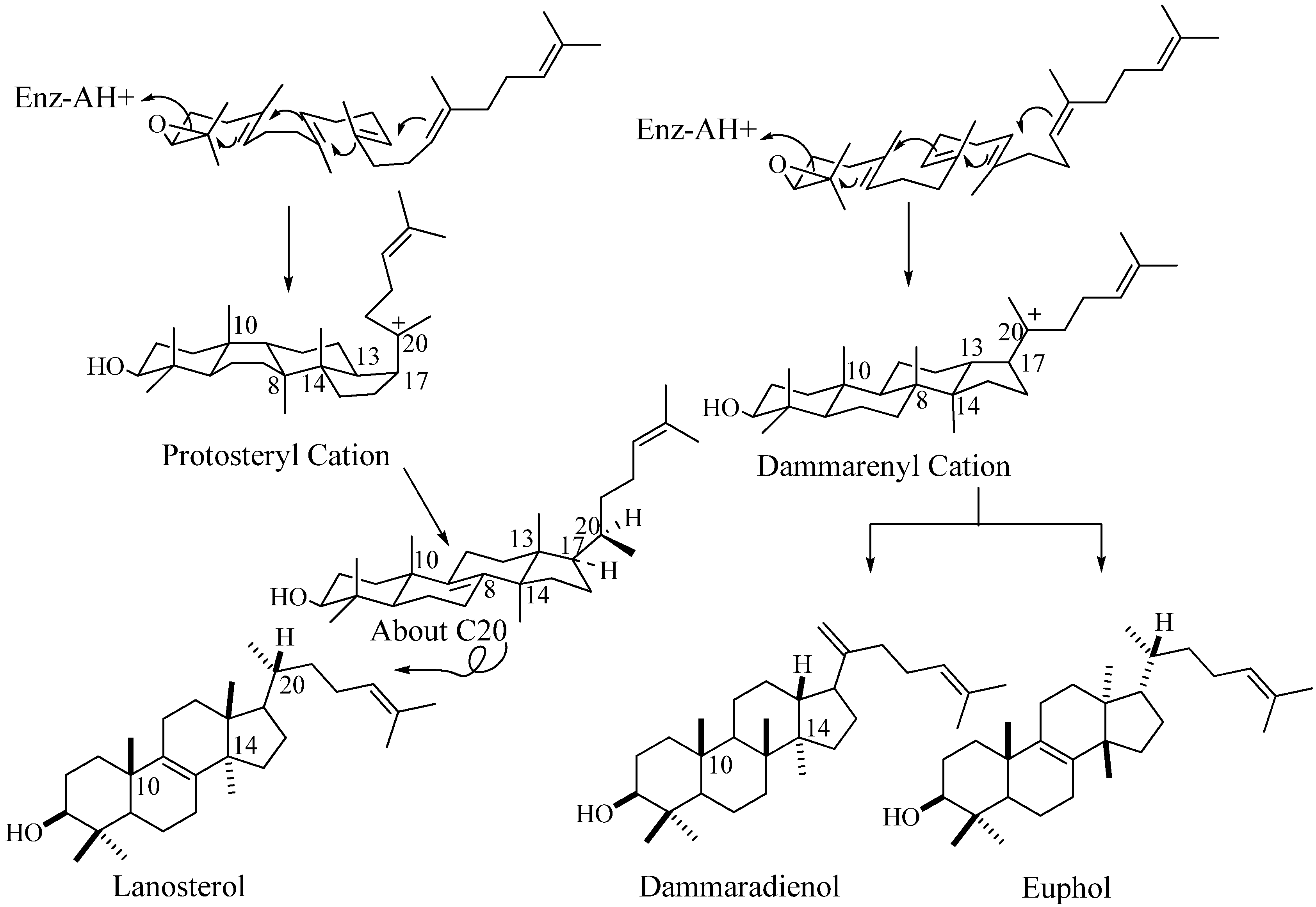 Molecules 14 04690 g002